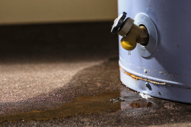 Best Fire Damage Restoration  in Delhi, LA