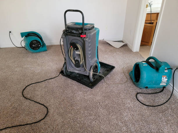 Best Professional water damage repair  in Delhi, LA