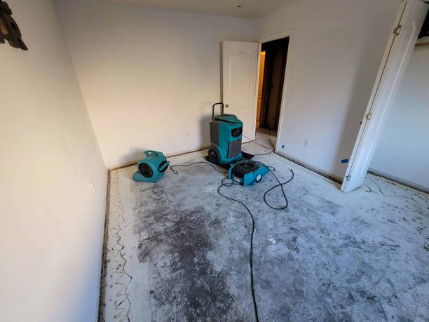 Best 24/7 water damage repair  in Delhi, LA