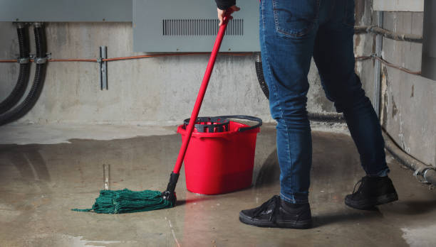 Best Carpet water damage restoration  in Delhi, LA