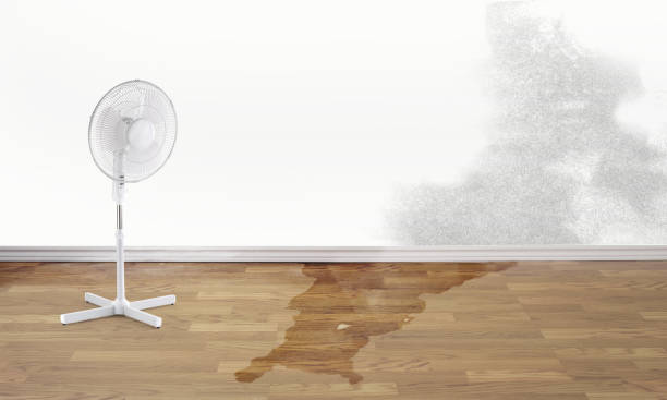 Best 24-hour water damage restoration  in Delhi, LA