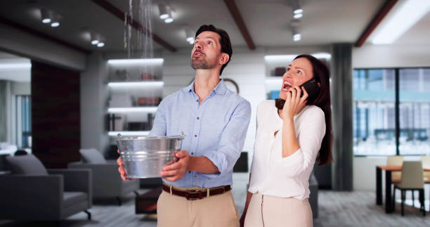 Best Professional water damage repair  in Delhi, LA