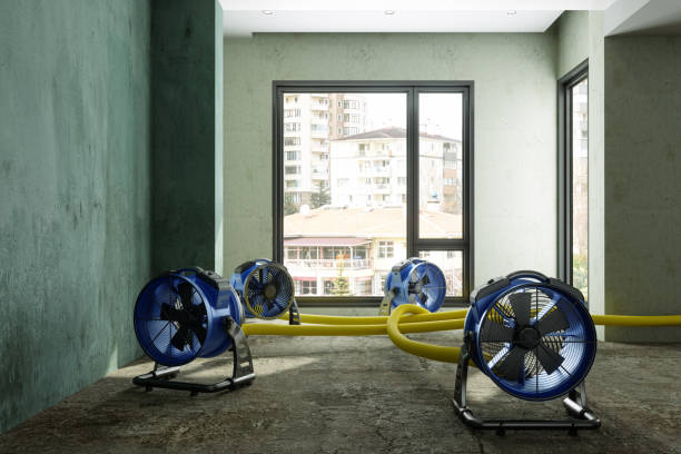 Best Flood damage cleanup  in Delhi, LA